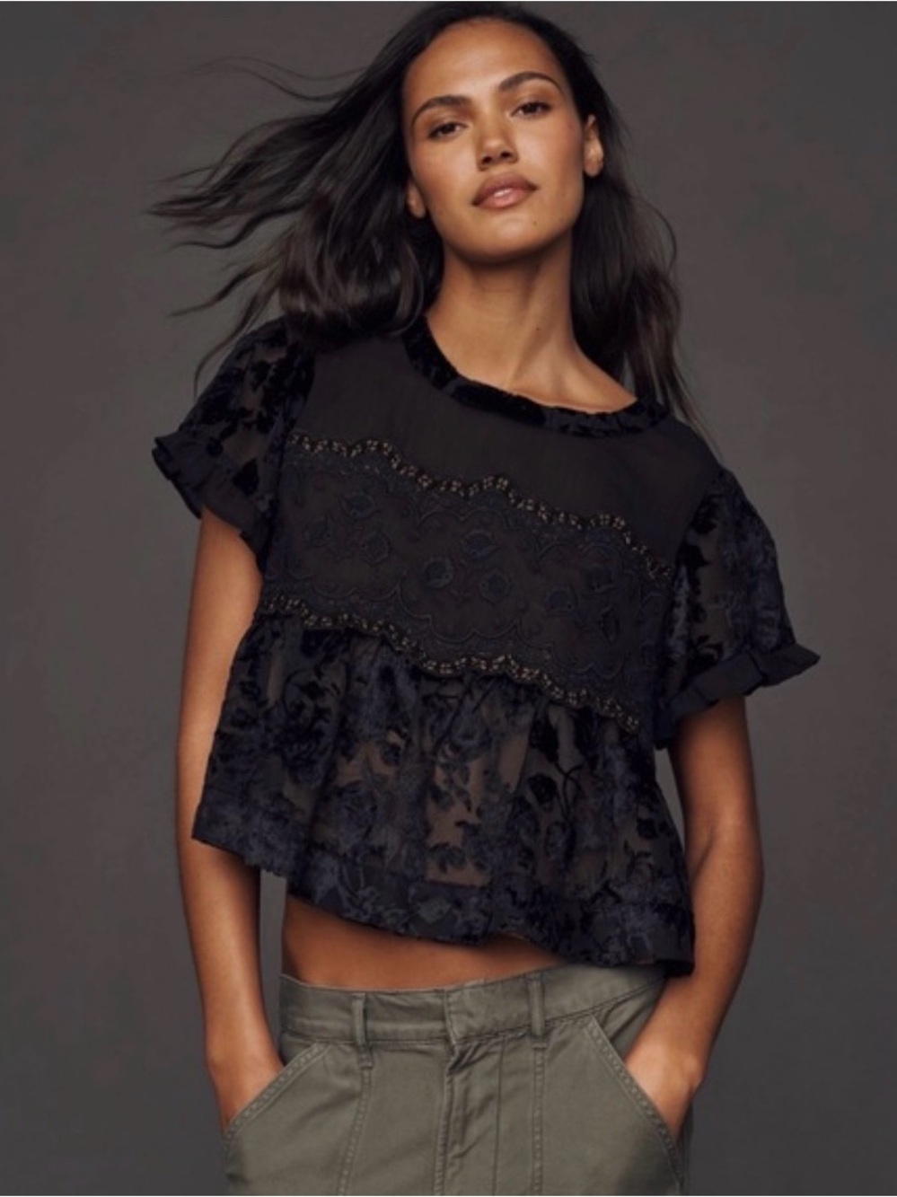 Anthropologie Black Lace & Burnout Velvet Crop Top